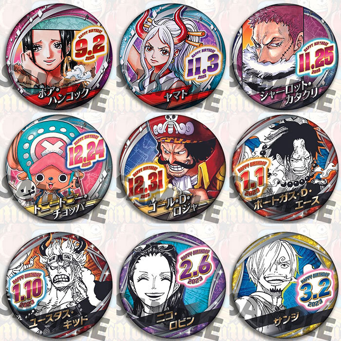 Een Stuk Anime Badge Pin Broch - Anime Merchandise In Chinese recensie en prijs