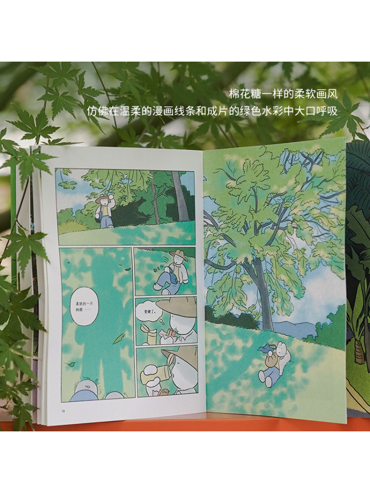 Book-Winshare Wens u een goede - Art Book Illustration recensie en prijs