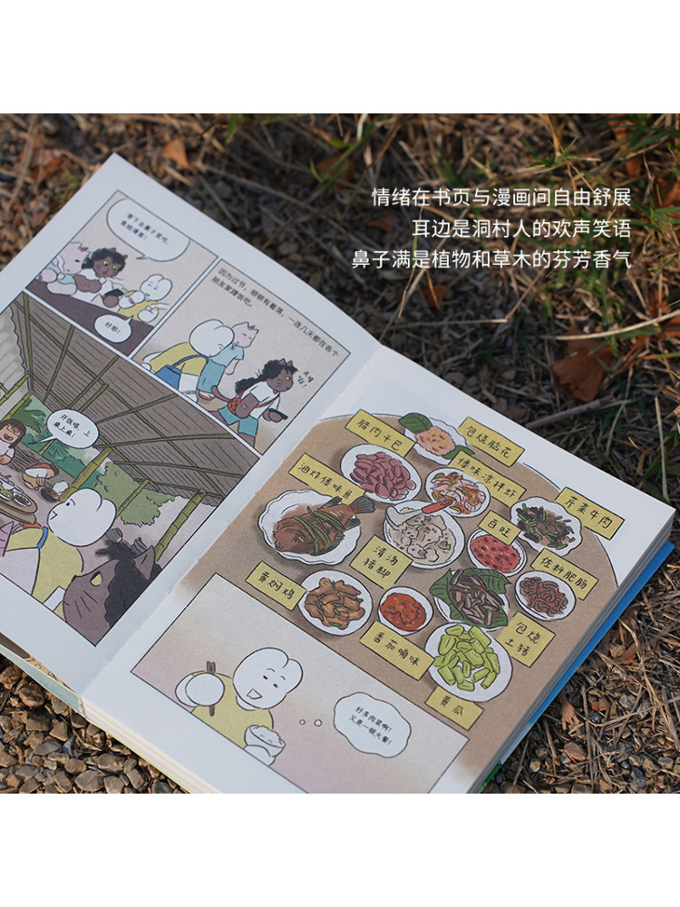 Book-Winshare Wens u een goede - Art Book Illustration recensie en prijs